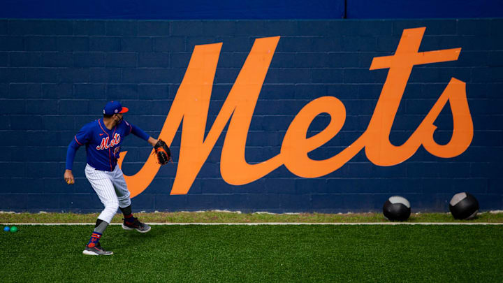 Feb 23, 2021; Port St. Lucie, Florida, USA; New York Mets relief pitcher Dellin Betances (68) works out in front of a Mets mural during spring training at Clover Park.  Mandatory Credit: Mary Holt-Imagn Images