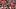 Katin House
