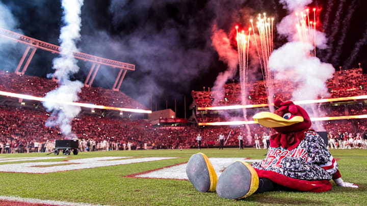 Nov 23, 2024; Columbia, South Carolina, USA; South Carolina Gamecocks mascot Cocky sits on the field between the third and fourth quarters of a game between the South Carolina Gamecocks and Wofford Terriers at Williams-Brice Stadium. Mandatory Credit: Jeff Blake-Imagn Images Nov 23, 2024; Columbia, South Carolina, USA; South Carolina Gamecocks mascot Cocky sits on the field between the third and fourth quarters of a game between the South Carolina Gamecocks and Wofford Terriers at Williams-Brice Stadium. Mandatory Credit: Jeff Blake-Imagn Images