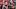 Courtland Sutton, Denver Broncos, 2026 Fantasy Football Courtland Sutton, Denver Broncos, 2026 Fantasy Football