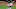 Eric Hosmer Eric Hosmer
