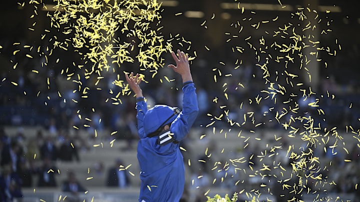 Nov 2, 2024; Del Mar, CA, USA; William Buick celebrates after winning the Turf race aboard Rebel’s Romance during the 2024 Breeders' Cup Championship at Del Mar Thoroughbred Club. 