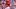 St. Louis Cardinals designated hitter Nelson Velazquez
