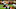 Baltimore Ravens, Devin Duvernay Baltimore Ravens, Devin Duvernay