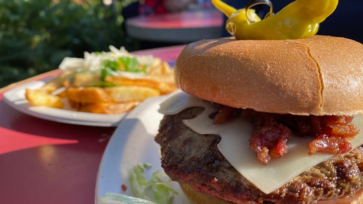 Bison Burger at SeaWorld Orlando