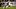 New England Patriots place kicker Andy Borregales New England Patriots place kicker Andy Borregales