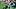 New England Patriots linebacker K.J. Britt New England Patriots linebacker K.J. Britt