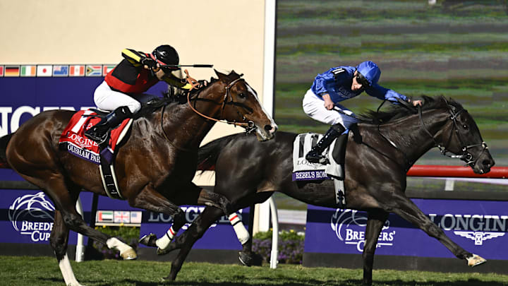 Nov 2, 2024; Del Mar, CA, USA; Rebel’s Romance ridden by William Buick wins the Turf race ahead of Rousham Park ridden by Christophe Lemaire during the 2024 Breeders' Cup Championship at Del Mar Thoroughbred Club. Nov 2, 2024; Del Mar, CA, USA; Rebel’s Romance ridden by William Buick wins the Turf race ahead of Rousham Park ridden by Christophe Lemaire during the 2024 Breeders' Cup Championship at Del Mar Thoroughbred Club.