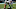 Chicago Bears, Connor Williams Chicago Bears, Connor Williams