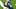 Seattle Seahawks defensive end DeMarcus Lawrence Seattle Seahawks defensive end DeMarcus Lawrence