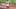 Atlanta Braves outfielder Mauricio Dubon Atlanta Braves outfielder Mauricio Dubon