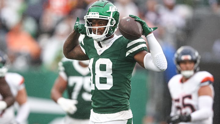  New York Jets wide receiver Mike Williams celebrates a first down reception during the second half against the Denver Broncos at MetLife Stadium. 