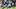 New England Patriots cornerback Marcus Jones 