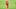 Kansas City Chiefs tight end Travis Kelce fantasy football Kansas City Chiefs tight end Travis Kelce fantasy football