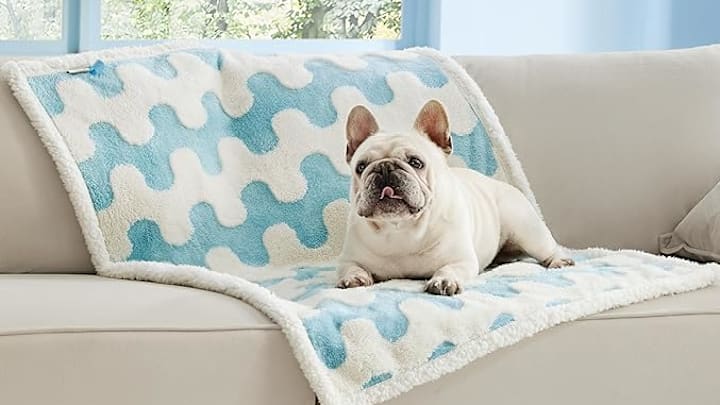 Lesure Debuts New Stylish Pet Bed & Blanket Prints