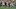 Southern Miss Football Southern Miss Football