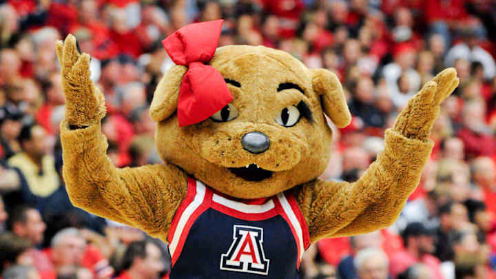 Mar 2, 2014; Tucson, AZ, USA; Arizona Wildcats mascot Wilma walks on the court during a timeout during the first half against the Stanford Cardinal at McKale Center. Arizona won 79-66. Mandatory Credit: Casey Sapio-Imagn Images