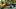 Sele camp 2 Survivor Winners at War episode 3 Sele camp 2 Survivor Winners at War episode 3