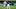 Houston Astros left fielder Yordan Alvarez and Texas Rangers shortstop Corey Seager Houston Astros left fielder Yordan Alvarez and Texas Rangers shortstop Corey Seager