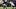 Mike Washington Jr., Las Vegas Raiders, 2026 Fantasy Football