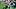 New England Patriots linebacker K.J. Britt New England Patriots linebacker K.J. Britt