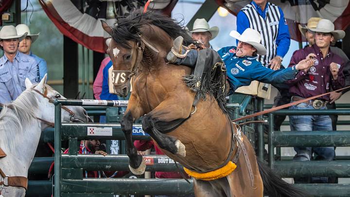 Ben Andersen at Reno Rodeo 2026