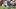 Washington Commanders quarterback Jayden Daniels Washington Commanders quarterback Jayden Daniels