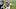 New England Patriots cornerback Christian Gonzalez New England Patriots cornerback Christian Gonzalez