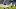Colts DTs Colts DTs