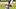 Detroit Tigers second baseman Gleyber Torres Detroit Tigers second baseman Gleyber Torres