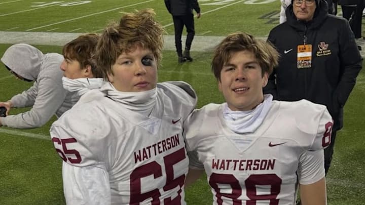 David Seaman David Seaman