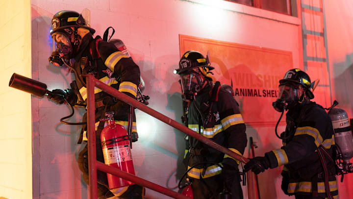 9-1-1 - ÒSob StoriesÓ - The 118 responds to a fire at a local animal shelter and races to evacuate all the animals. Meanwhile, Maddie takes a 9-1-1 call that sets her on a quest for answers. THURSDAY, MARCH 6 (8:00-9:00 p.m. EST), on ABC. (Disney/Christopher Willard)
9-1-1