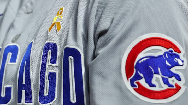 Chicago Cubs v Minnesota Twins
