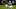 Oct 22, 2026; Chicago, Illinois, USA; New England Patriots running back TreVeyon Henderson (32) runs the ball against Chicag Oct 22, 2026; Chicago, Illinois, USA; New England Patriots running back TreVeyon Henderson (32) runs the ball against Chicag