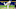 Milwaukee Brewers starting pitcher Brandon Woodruff