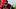 Arkansas linebacker Steven Soles Arkansas linebacker Steven Soles