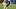Ja'Quan McMillian, Brandin Cooks Ja'Quan McMillian, Brandin Cooks
