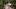 tayme-thapthimthong-walton-goggins-aimee-lou-wood tayme-thapthimthong-walton-goggins-aimee-lou-wood
