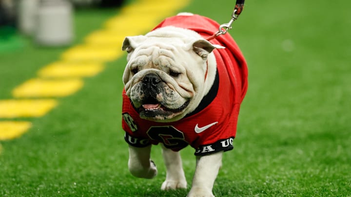 Jan 1, 2026; New Orleans, LA, USA; Georgia Bulldogs mascot Uga walks the sideline in the first half during the 2026 Sugar Bowl and quarterfinal game of the College Football Playoff against the Mississippi Rebels at Caesars Superdome. Mandatory Credit: Geoff Burke-Imagn Images