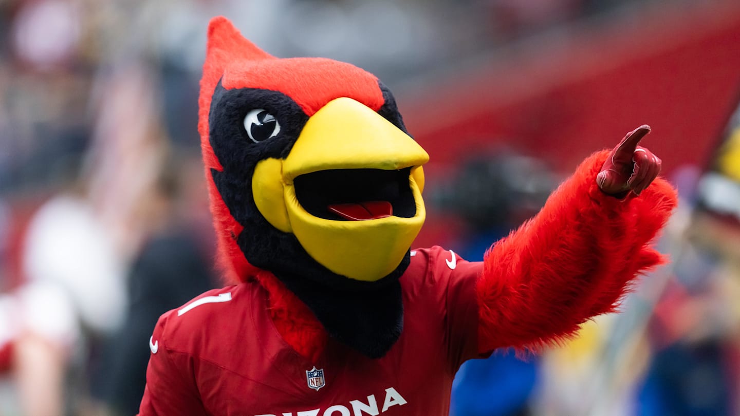 NFL World Ruthlessly Goes After Cardinals Over Schedule Release Video