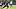 Jun 9, 2026; Houston, Texas, USA; Houston Texans running back Woody Marks participates in a drill during the team’s minicamp Jun 9, 2026; Houston, Texas, USA; Houston Texans running back Woody Marks participates in a drill during the team’s minicamp