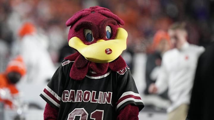 Nov 25, 2023; Columbia, South Carolina, USA; South Carolina Gamecocks mascot Cocky performs on the side lines in the second half against the Clemson Tigers at Williams-Brice Stadium. Mandatory Credit: David Yeazell-Imagn Images