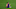 Robert Lewandowski nach seinem letzten Spiel für Barça allein am Mittelkreis