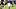 TCU Football TCU Football
