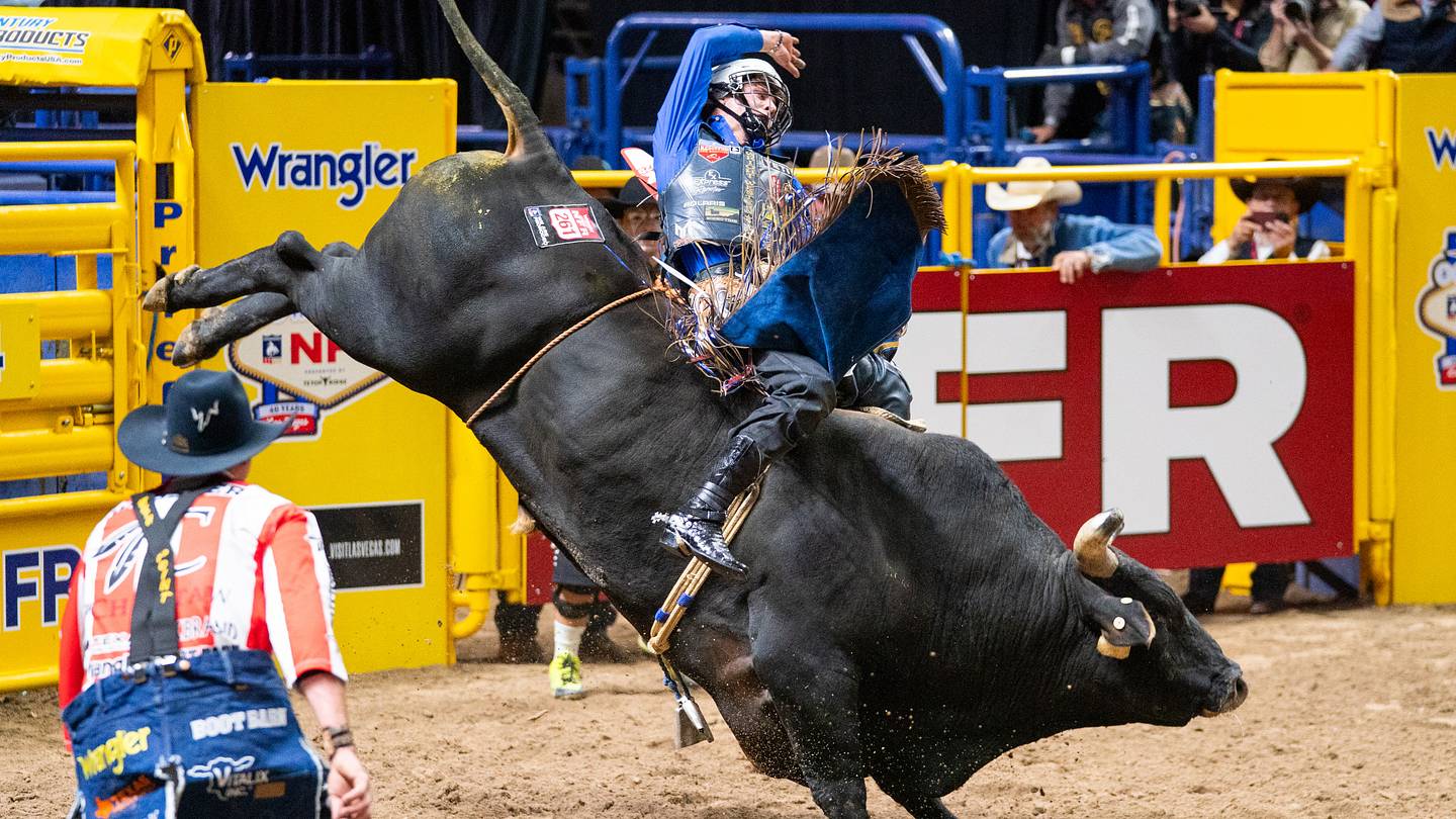 Rookie Bull Riders Are Bringing the Heat Half Way Through NFR