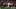 Boston Red Sox left fielder Jarren Duran Boston Red Sox left fielder Jarren Duran