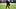 Kirby Lee-Imagn Images Kirby Lee-Imagn Images