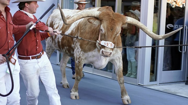 Nov 9, 2024; Austin, Texas, USA; Texas Longhorns live mascot Bevo enters the field before a game against the Florida Gators at Darrell K Royal-Texas Memorial Stadium.
