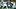 New England Patriots quarterback Drake Maye New England Patriots quarterback Drake Maye