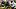 ittsburgh Steelers running back Jaylen Warren fantasy football